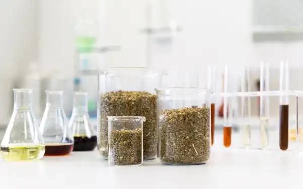 ESC PROLAB services formulation