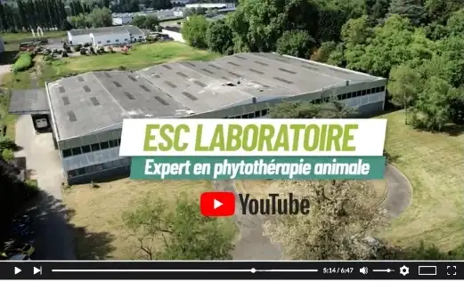 vidéo ESC Prolab et ESC Laboratoire